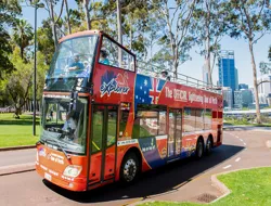 24/48-Hour Perth Hop-On-Hop-Off Tour of Perth and Kings Park